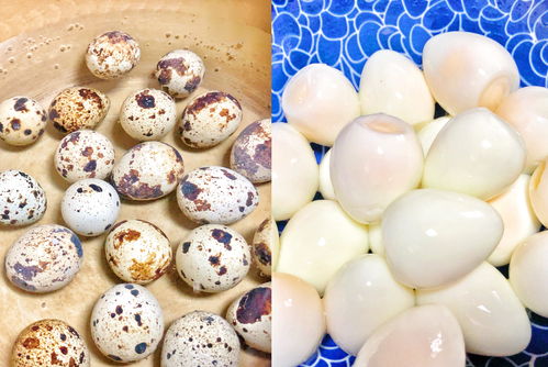 1個番茄，2勺番茄醬，教你做酸甜味美的茄汁虎皮鵪鶉蛋，零失誤休閑食品